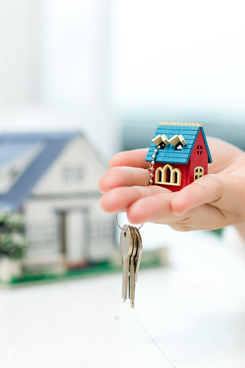 Gayrimenkul hizmetleri